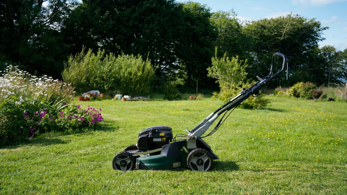 Gressklipper på en nyklippet plen i en frodig hage